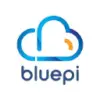 BluePi Consulting Pvt. Ltd. logo