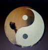 Moment Of Zen's logo