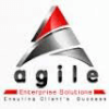 Agile Enterprise Solutions Inc's logo