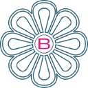 b4s's logo