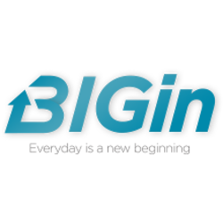 BIGin Digital Solutions's logo