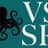 VSSR Consulting LLP logo