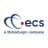 ECS Infosolutions logo