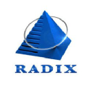 Radix Web logo
