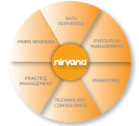 Nirvana Solutions logo