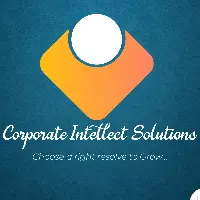 Corporate Intellect Solutions