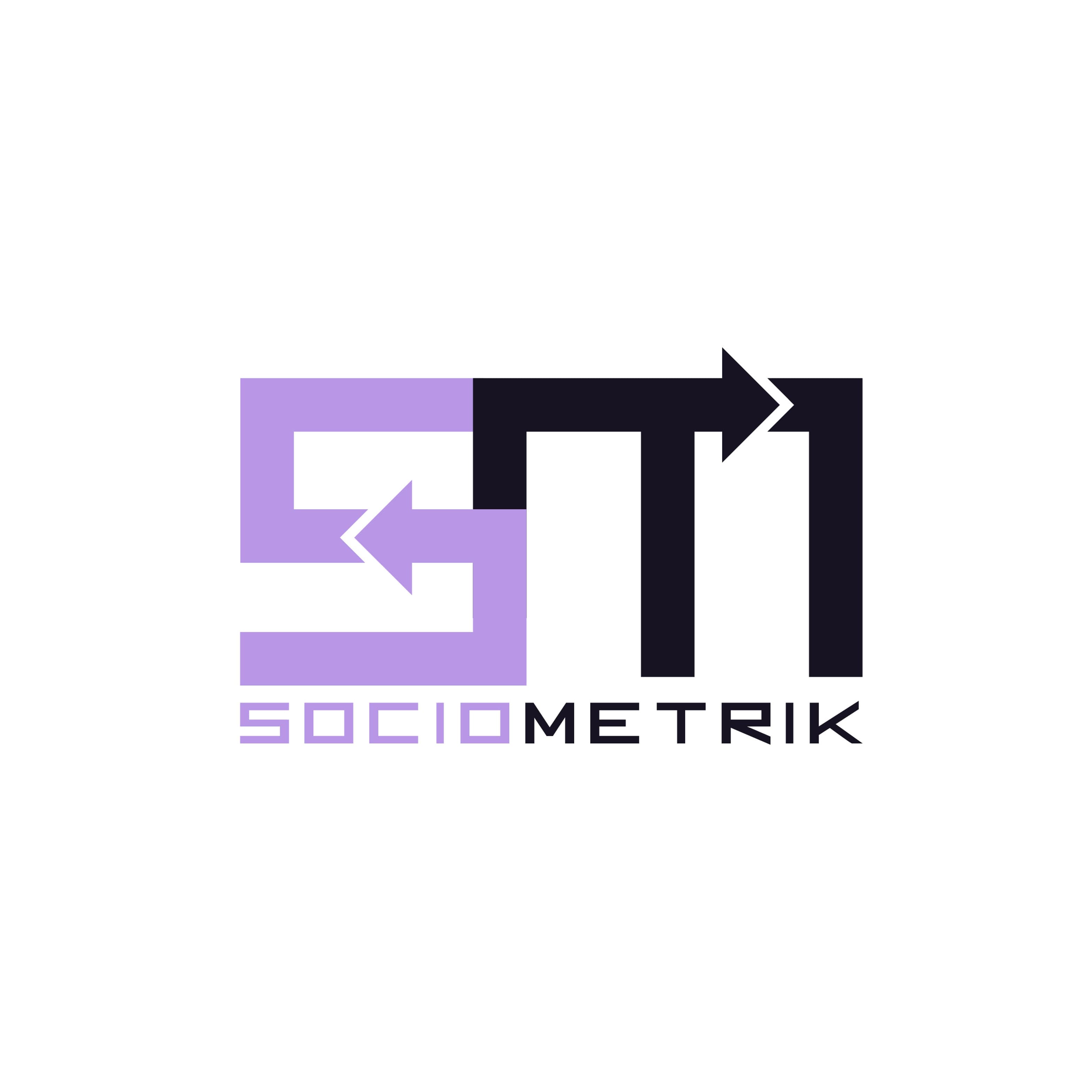 Sociometrik's logo