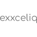 Exceliq solutions's logo