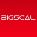 BIGSCAL logo