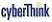 cyberThink Infotech Pvt Ltd logo