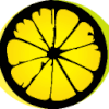 Lemion IT Solutions Private Limited logo