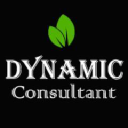 Dynamic Consultant logo