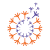 Intellecap logo