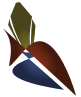 National Heart Institute logo