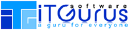 iT Gurus Software logo