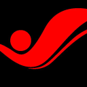 Virtue Insight logo