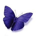 Approach People Recruitment logo