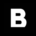 Born Group logo
