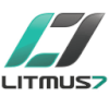 Litmus7 Systems Consulting logo