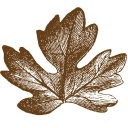 NSW Health logo