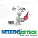 Netzens Softech logo