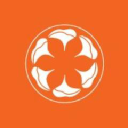 no company logo
