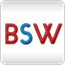 Brandscapes Worldwide logo