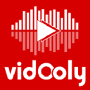 Vidooly logo