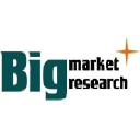 Big Market Research logo