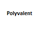 Polyvalent Digital Services logo