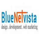 BlueNetVista logo