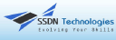 SSDN Technologies logo