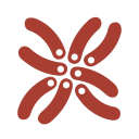 Bang the Table logo