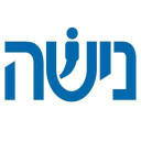 Nisha Group logo