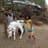 Nandi Krushi logo