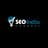 SEO India Company logo