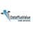 DataPlusValue logo