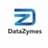 Datazymes logo