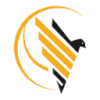 golden eagle it technologies pvt ltd's logo