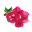 Suryagarh logo