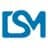 Digital Solution Media logo