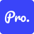Pro logo