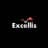 Excellis IT's logo