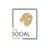 The Social Lions logo