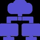 Network Administrator