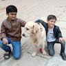 Profile picture