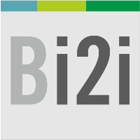 Bridgei2i Analytics Solutions logo