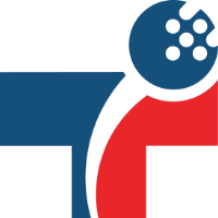 TechnoIdentity Solutions logo