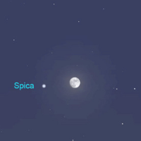 Spica Systems logo