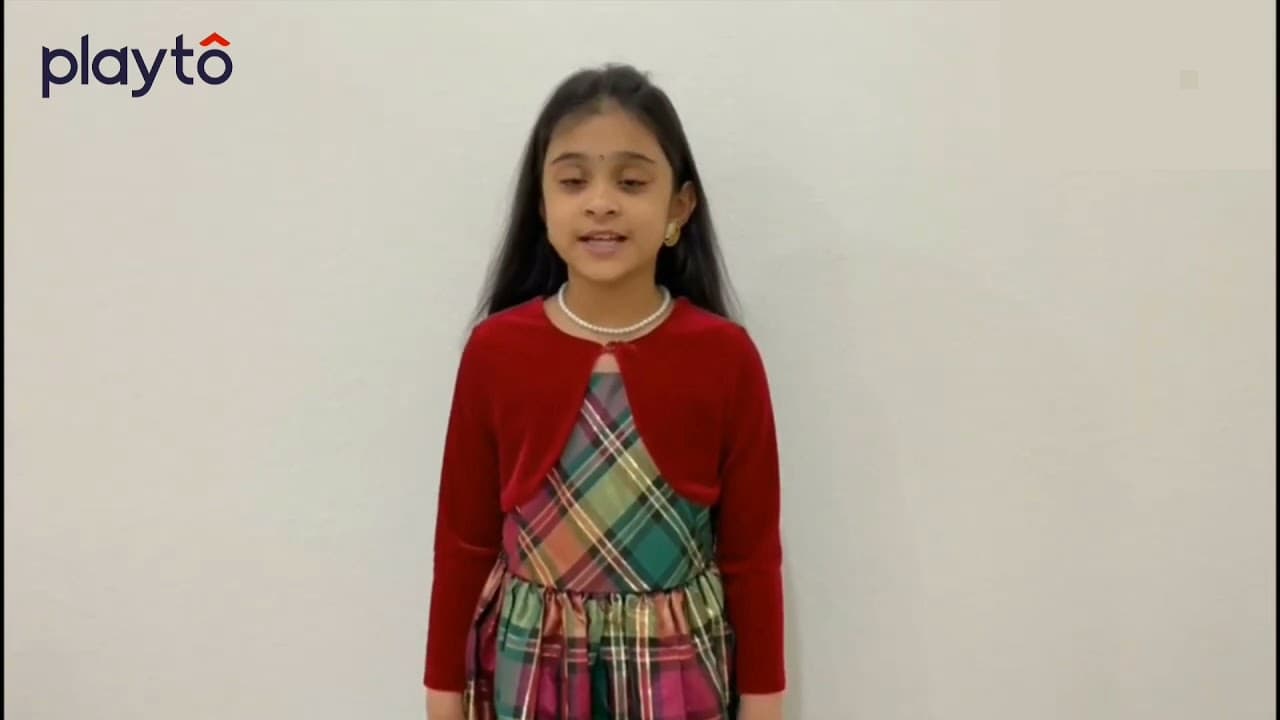 Playto Labs's video section